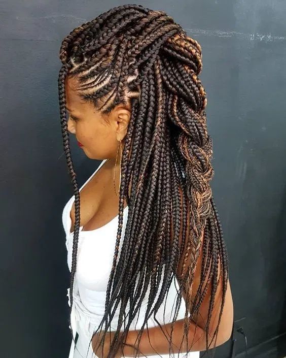 What Braids Hairstyles  Are There?