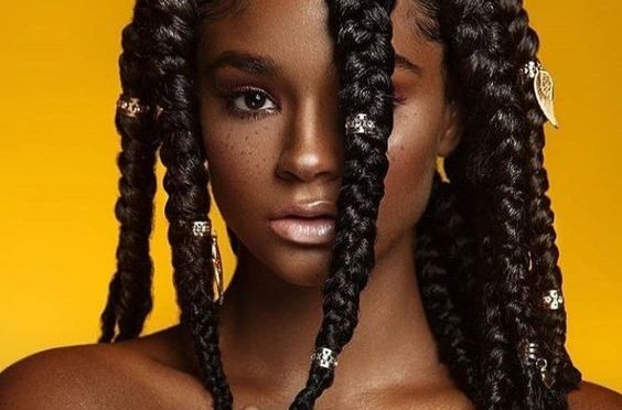 Exquisite Braids Hairstyles for African Women